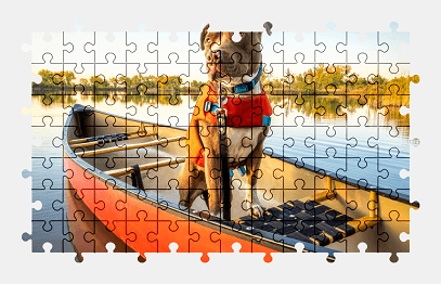 Jigsaw puzzle online pit-bull,vehicle,nature,colorful,animal