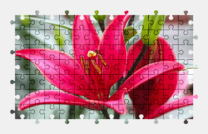 Jigsaw puzzle online plant,flower,lily,nature,colorful