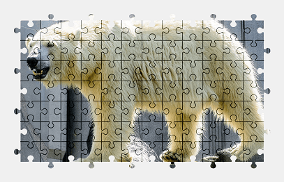 Jigsaw puzzle online white,bear,animal,zoo