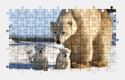 Jigsaw puzzle online bear,animal,snow,colorful