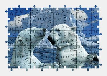 Jigsaw puzzle online bear,animal,snow