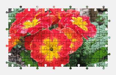 Jigsaw puzzle online primrose,spring,plant,flower