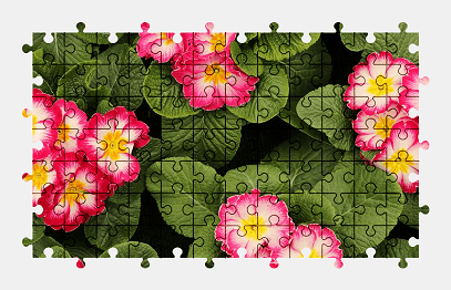Jigsaw puzzle online flower,spring,plant,nature,colorful