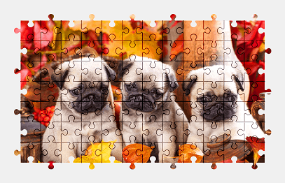 Jigsaw puzzle online puppy,dog,animal,autumn,cute,colorful