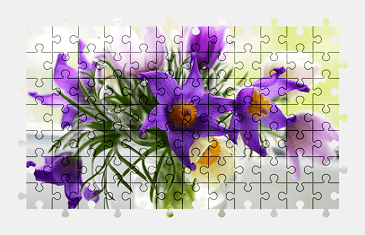 Jigsaw puzzle online flower,colorful