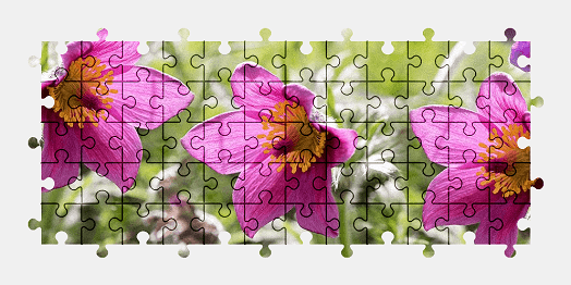 Jigsaw puzzle online nature,flower,colorful