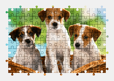 Jigsaw puzzle online puppy,dog,cute,animal,colorful