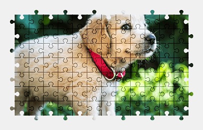 Jigsaw puzzle online golden-retriever,puppy,dog,cute,animal,pet,adorable,colorful