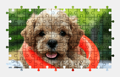 Jigsaw puzzle online puppy,animal,dog,colorful,cute