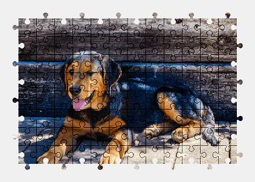 Jigsaw puzzle online puppy,dog,animal,colorful