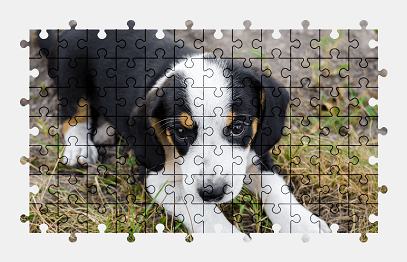 Jigsaw puzzle online puppy,dog,animal