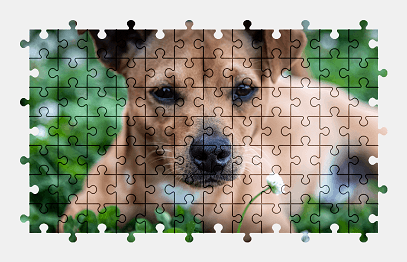 Jigsaw puzzle online puppy,dog,animal