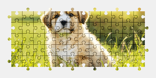 Jigsaw puzzle online puppy,dog,animal,colorful,nature,grass,cute
