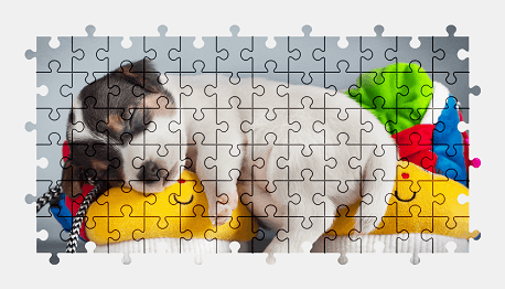 Jigsaw puzzle online puppy,dog,animal,colorful