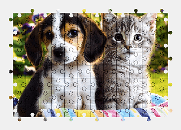 Jigsaw puzzle online puppy,kitten,animal,colorful,pet