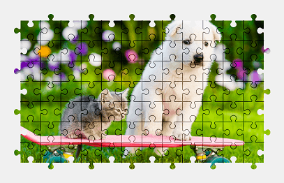 Jigsaw puzzle online puppy,kitten,animal,nature,colorful,dog,cat