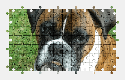 Jigsaw puzzle online dog,pet,animal,cute