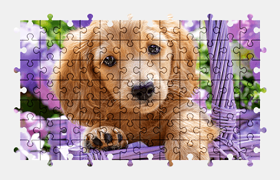 Jigsaw puzzle online puppy,basket,colorful,cute,animal