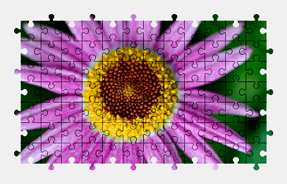 Jigsaw puzzle online purple,flower,colorful,nature