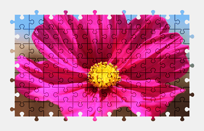 Jigsaw puzzle online pink,cosmos,flower,nature,colorful