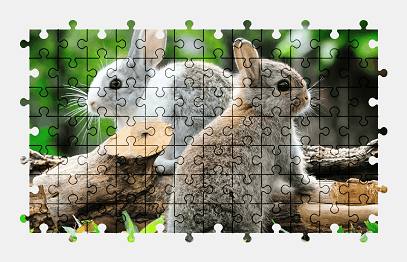 Jigsaw puzzle online rabbit,animal,cute,colorful,nature