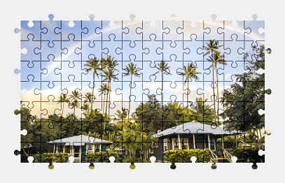 Jigsaw puzzle online rainbow,nature,palm-tree,colorful