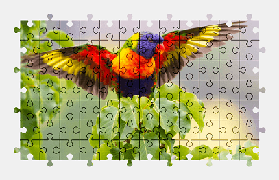 Jigsaw puzzle online rainbow,parrot,animal,colorful,nature,bird