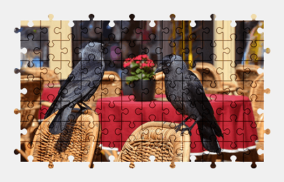 Jigsaw puzzle online bird,animal,black,crow
