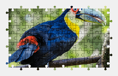 Jigsaw puzzle online toucan,bird,animal,colorful