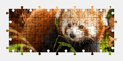 Jigsaw puzzle online red-panda,animal