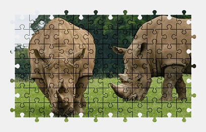 Jigsaw puzzle online rhino,animal,wildlife,colorful