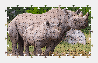 Jigsaw puzzle online rhino,animal,nature