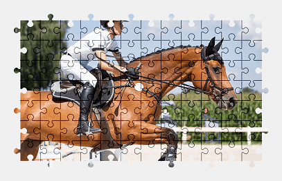 Jigsaw puzzle online horse,animal,sport,colorful