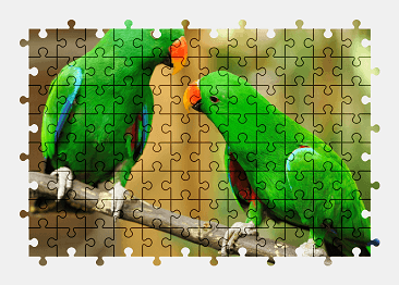 Jigsaw puzzle online green,parrot,bird,animal,colorful