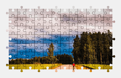 Jigsaw puzzle online bicycle,road,romania,tree,landscape,sky,colorful