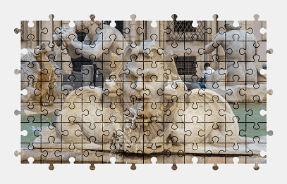 Jigsaw puzzle online rome,fountain,italy,water