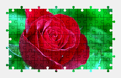 Jigsaw puzzle online rose,flower,nature,colorful