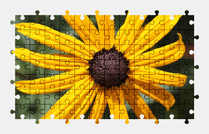 Jigsaw puzzle online yellow,flower,nature,colorful