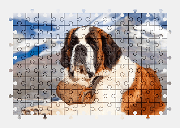 Jigsaw puzzle online dog,animal,colorful