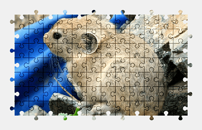 Jigsaw puzzle online animal,nature