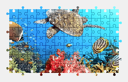 Jigsaw puzzle online sea,turtle,animal,fish,colorful,underwater