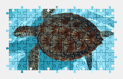 Jigsaw puzzle online sea,turtle,animal,nature