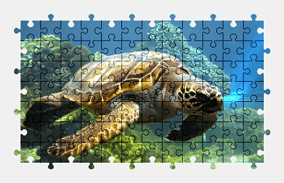 Jigsaw puzzle online turtle,animal,underwater,nature