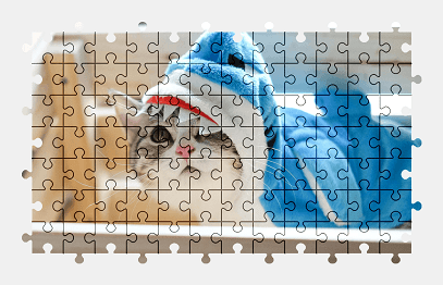 Jigsaw puzzle online cat,animal,pet,funny,colorful