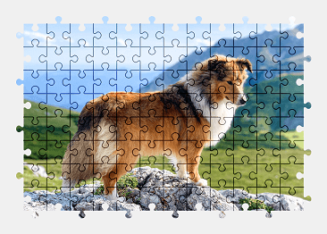 Jigsaw puzzle online sheltie,dog,animal,nature,colorful