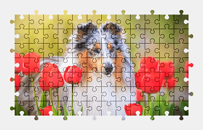 Jigsaw puzzle online dog,animal,flower,nature,colorful