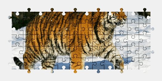 Jigsaw puzzle online tiger,animal,snow,colorful