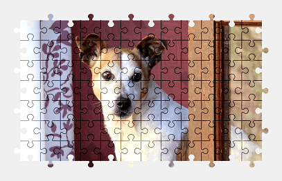 Jigsaw puzzle online jack-russell-terrier,dog,animal,colorful