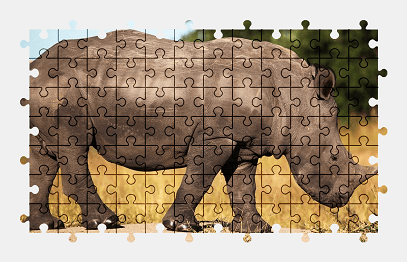 Jigsaw puzzle online africa,rhino,animal,wildlife,safari,nature,colorful