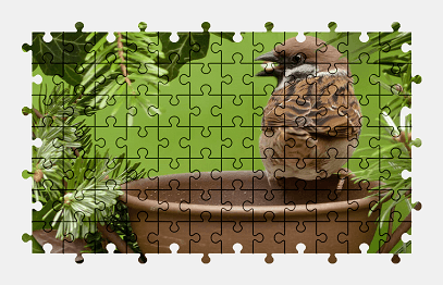 Jigsaw puzzle online sparrow,bird,garden